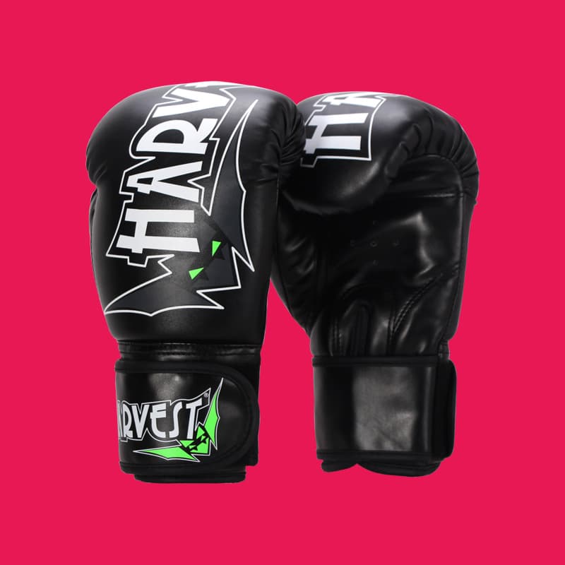 Pro Training Gloves 16oz