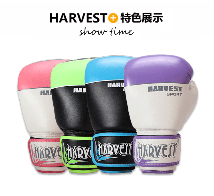 Pro Training Gloves 16oz 2